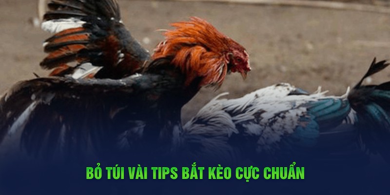 Bỏ túi vài tips bắt kèo cực chuẩn