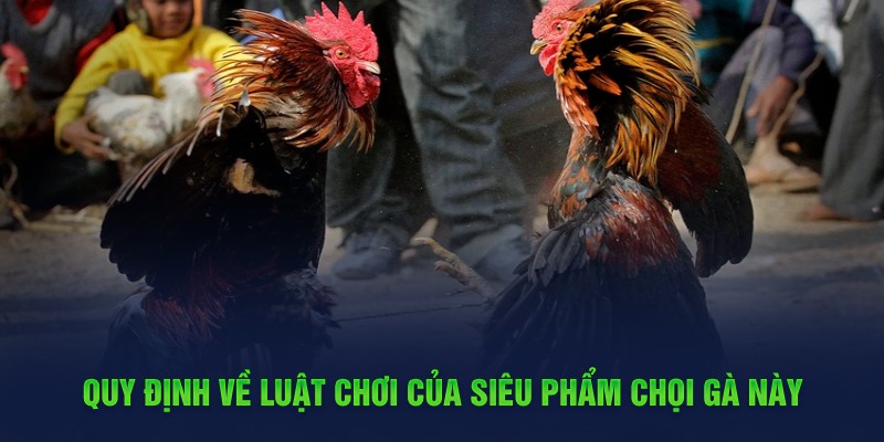 Quy định về luật chơi của siêu phẩm chọi gà này