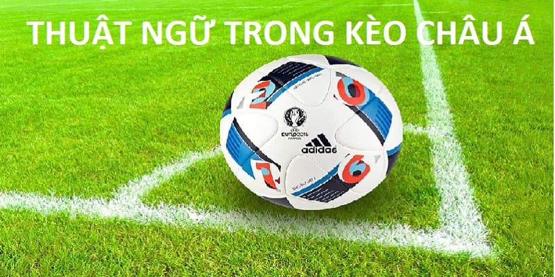 Tổng hợp thuật ngữ cá độ trong kèo chấp