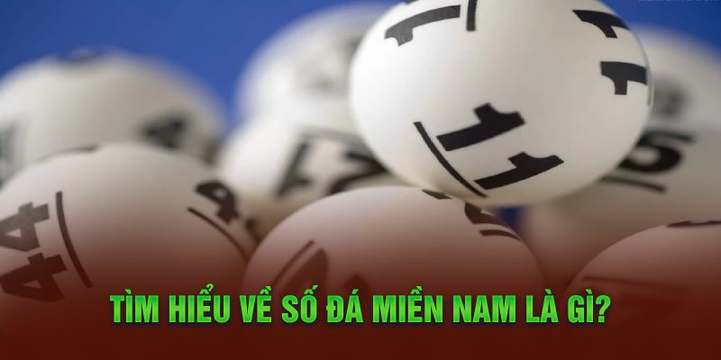 Tìm hiểu về số đá miền Nam là gì?