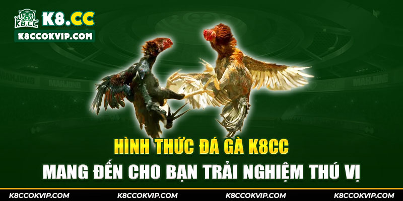 Hình thức đá gà K8CC mang đến cho bạn trải nghiệm thú vị