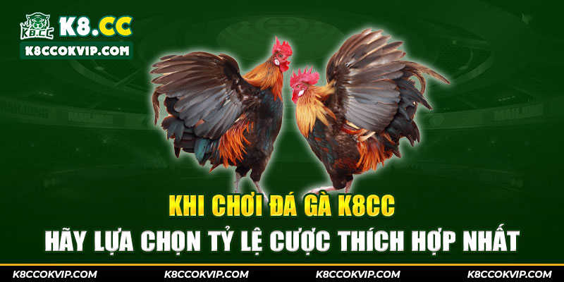 Khi chơi đá gà K8cc hãy lựa chọn tỷ lệ cược thích hợp nhất