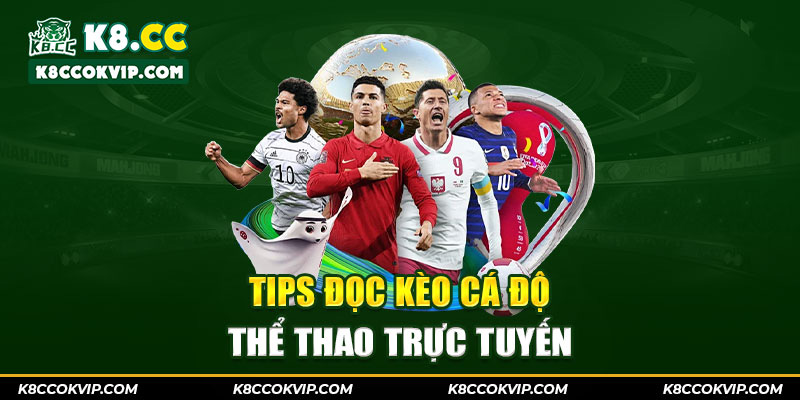 Tips đọc kèo cá độ thể thao trực tuyến